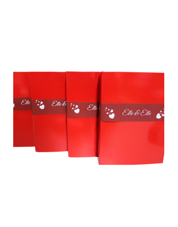 Coffret coquin St Valentin - Couple Lesbien