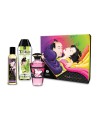 Coffret Baisers Fruités Shunga 3 produits - CC7000