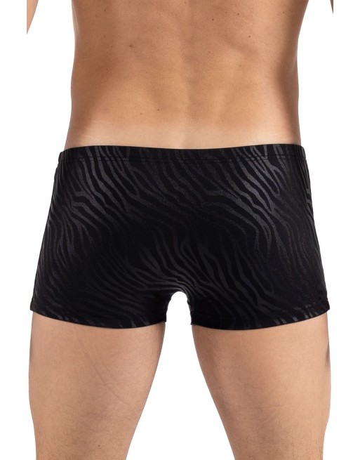 Boxer noir  gold Zebra - LM2403-67BLK