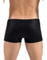 Boxer noir  gold Zebra - LM2403-67BLK