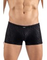 Boxer noir  gold Zebra - LM2403-67BLK